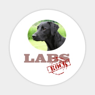 Black Labs Rock! Magnet